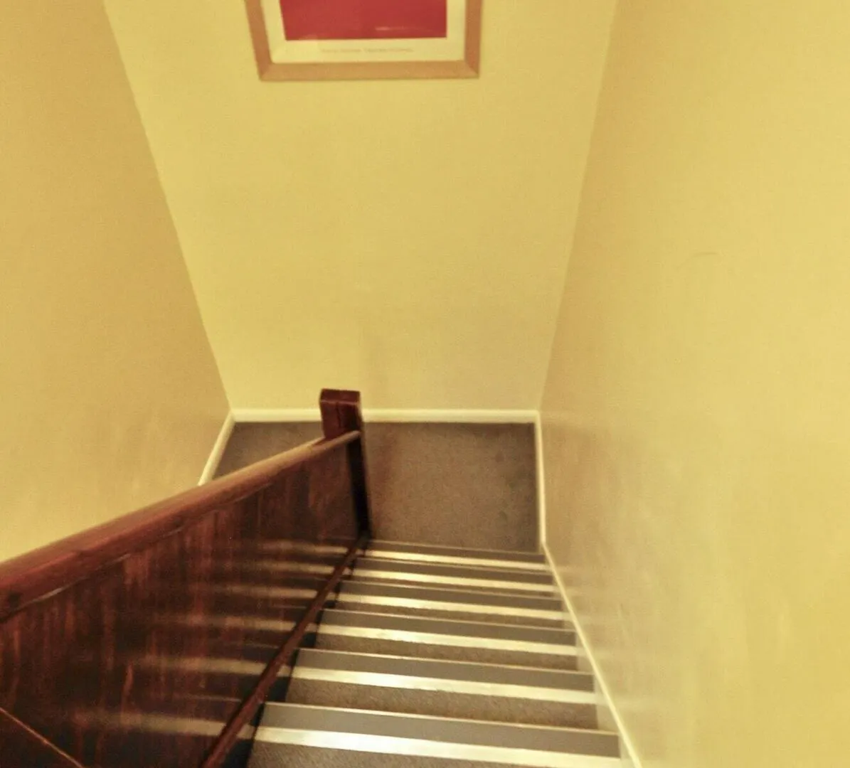 The Borough Hotel London